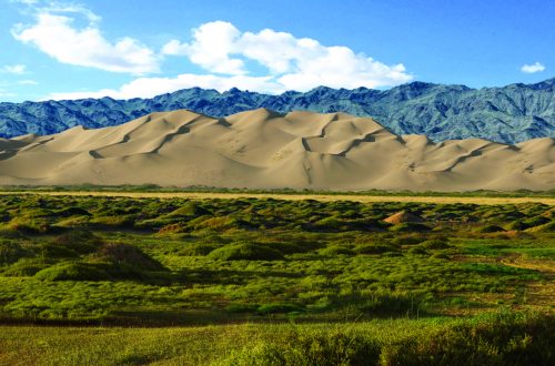 Khongor Sand Dune